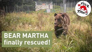 Martha Update | FOUR PAWS UK | www.four-paws.org.uk