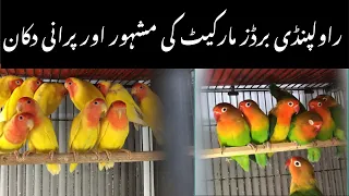 College road birds market Rawalpindi | Birds Market @zakirhussainshah6234