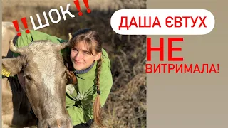 ШОК!!! ЛЮДИ ДОВЕЛИ ДАШУ ЄВТУХ ДО СЛІЗ! Чому і за що? Хейтять сільську блогерку?!