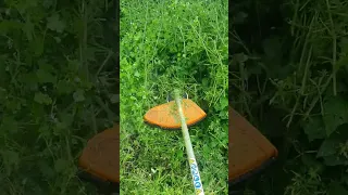 Cutting down long grass and weeds using a string trimmer / weed whacker / strimmer #shorts #lawncare