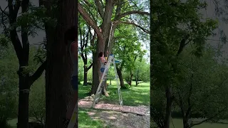 Woman Gets Bonked by Branch during Tree Trimming || ViralHog