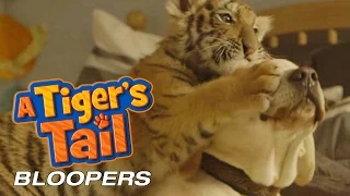 A Tiger's Tail | Music Video Bloopers | Watching Over You by Kari Kimmel