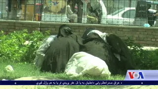 Drug Report From Jalalabad - VOA Ashna