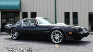 WhipAddict: T-Top 81' Pontiac Trans Am Firebird on 22s front 24s back by Atlanta Custom Wraps