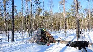 Путешествие на болото. Снегоход. Палаточный лагерь.