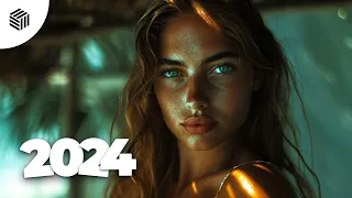 Summer Music Mix 2024 🌴 Best Remixes of Popular Songs 🔊 EDM Best Music Mix 🎧 [017]