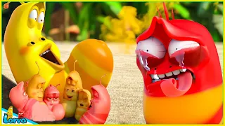 LARVA SEASON 1 EPISODE FULL: CRY 🍟 NEST VERSION LARVA | MINI SERIES FROM ANIMATION LARVA