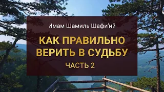 КАК ПРАВИЛЬНО ВЕРИТЬ В СУДЬБУ (ЧАСТЬ 2) | Имам Шамиль Шафи'ий