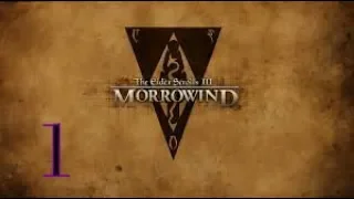 Прохождение The Elder Scrolls III: Morrowind - Часть 1: Сейда Нин