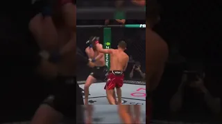 Petr Yan vs crazy combo vs  Cory Sandhagen