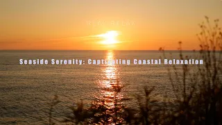 Seaside Serenity: Captivating Coastal Relaxation