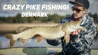 Crazy Pike Fishing! Privat lake in Denmark (english subtitles)