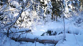 Дорожная  Гарик Сукачев