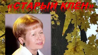 Старый клён. Любимые мелодии под баян. Песни для души.