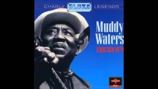 Baby Please Don't Go - Muddy Waters Chicago 1979