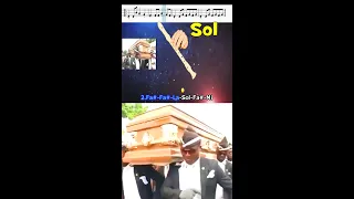 ¿NUNCA MU3RE? MEME DEL ATAUD en flauta / COFFIN DANCE recorder / TUTORIAL fácil / flautino / #Shorts