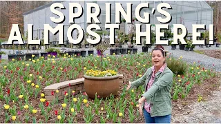 Spring Is Almost Here! Let's Talk Annuals