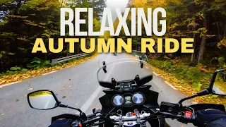Relaxing Autumn Ride | Suzuki DL 650 V-Strom
