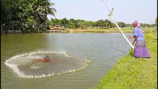 🐠 Amazing Cast Net Fishing at Sea With Beautiful Nature 🐠 Daily Village Life 🐠 Part-74