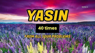 ❤️سورة ياسين 40 مرة ، من كل مشاكلك ، قراءة جميلة للقرآن🤲🕋