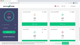 Survey Junkie Cashout