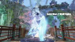 GW2 WvW - Herald - The most OP Specialization in the Game