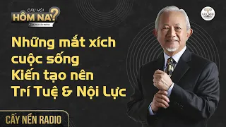 Những mắt xich cuộc sống kiến tạo nên Trí tuệ và Nội lực l GS. Phan Văn Trường l Cấy Nền Radio