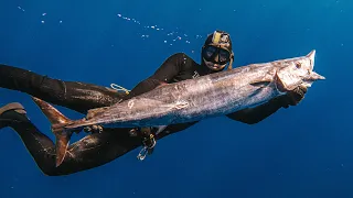 My First Time Spearfishing WAHOO (What I Learnt)