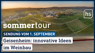 Geisenheim: innovative Ideen im Weinbau | hessenschau vom 01.09.2022