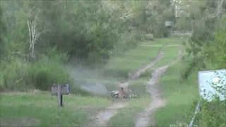 Nilgai hunt in Texas