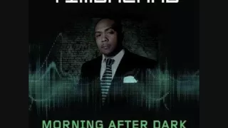 Timbaland ft SoShy- Morning After Dark Instrumental