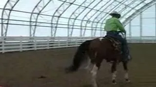 Terry Myers Horsemanship- How to make your horse light in the bridle