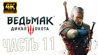 Ведьмак 3: Дикая Охота [4K] - The Witcher 3: Wild Hunt Прохождение #11