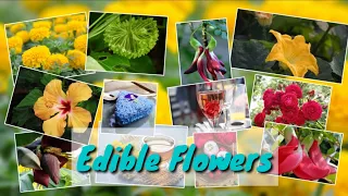 Edible Flowers. (Part-1) Important video. Must watch.
