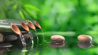 Healing music BGM- Quiet piano songs, Relaxing music with the sounds of nature Bamboo Water Fountain