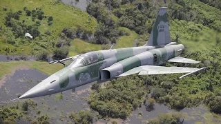 F-5M TIGER