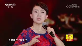 [星光大道]京剧《铡美案》选段 演唱：徐赫阳 | CCTV