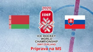 NHL 20 - prípravný zapas na MS 2020 - Slovensko vs Bielorusko - zostrih gólov