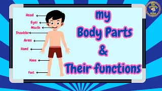 My Body Parts & Their Functions | Body Parts in English #bodyparts