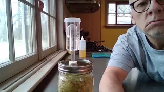 sauerkraut