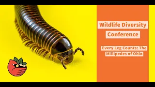 Every Leg Counts: The Millipedes of Ohio