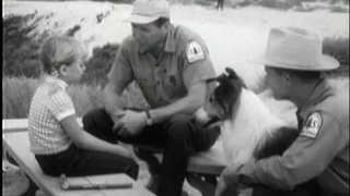 Lassie - Episode #359 - "Lassie and the Shifting Sands" - Season 11, Ep. 7 - 10/18/1964