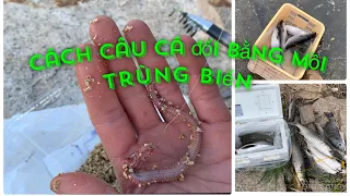 Cách câu cá đối bằng mồi trùn biển, không gãy cần không ăn tiền | Câu cá ở Nhật | Gia Đình Cá Tráp