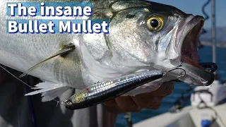 Witness "Bullet Mullet" Madness: The Insane Walking Action You Have to See!