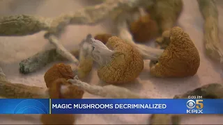 Oakland Councilmember Says Mushroom Move Will Help City's Other Issues