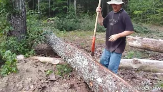 Peeling pine logs for my cabin