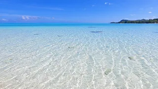 Summer Ambience: 3 Hours of Bora Bora Beach Waves & Sounds For Relaxation