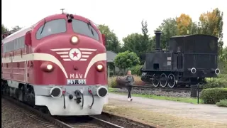 A GŐZÖS, A NOHAB, ÉS A SPOTTER... * 🏠🛤🚂📹 * Gyál felső körbetekintő és trainspotting