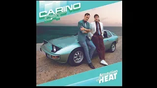 Carino Cat - Attraction of Heat (2019)