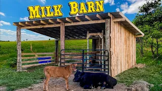 One Man Builds Milk Barn in Under 20 Minutes!